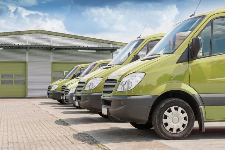 green-vans green-vans